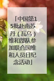 中国第15批赴南苏丹（瓦乌）维和部队参加联合国维和人员日纪念活动